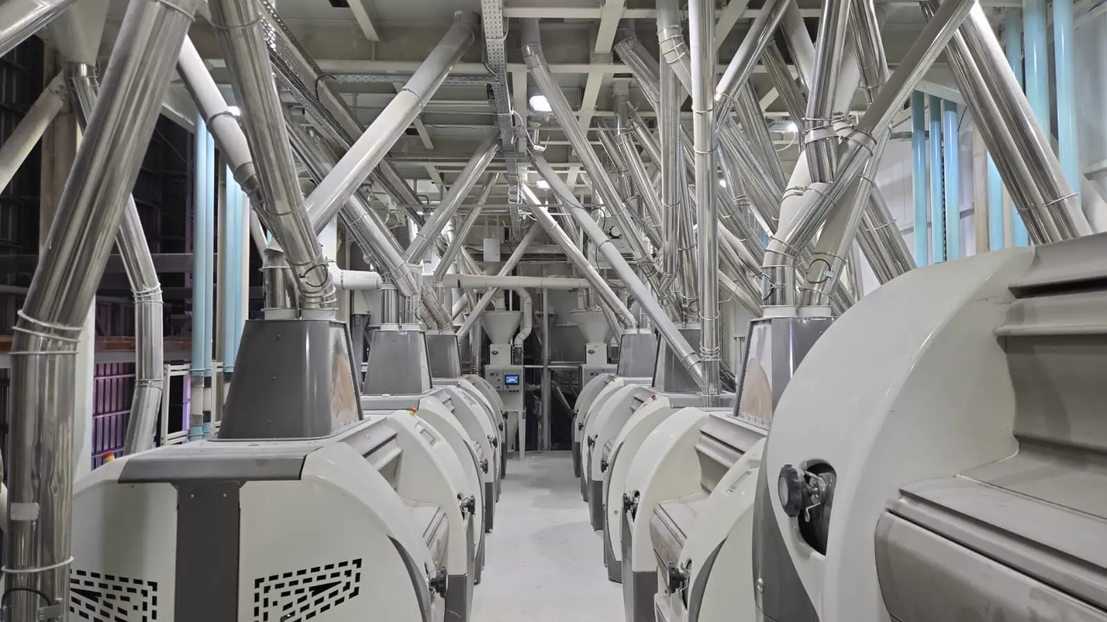 Línea de molienda en planta